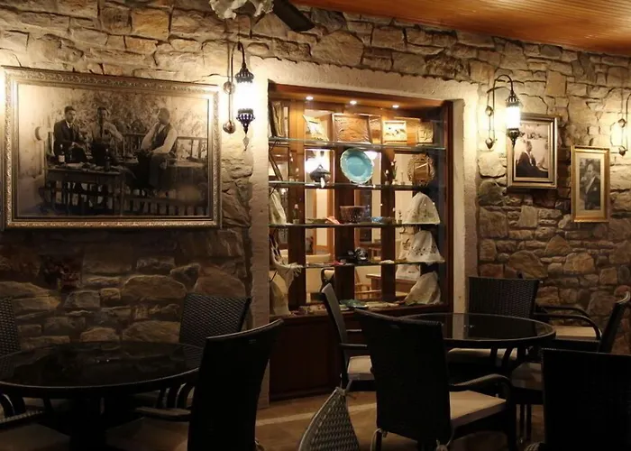 Tuncel Efe 4* Датча